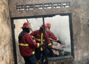 Kebakaran di Padang Barat Hanguskan 32 Rumah Petak, Kerugian Ditaksir Capai Rp1,2 Miliar